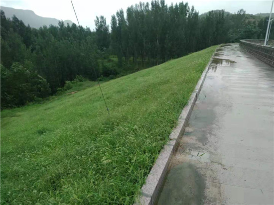 ���̰���